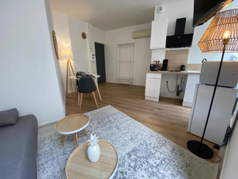 Hyper Centre - Cocooning Appartement Mazamet